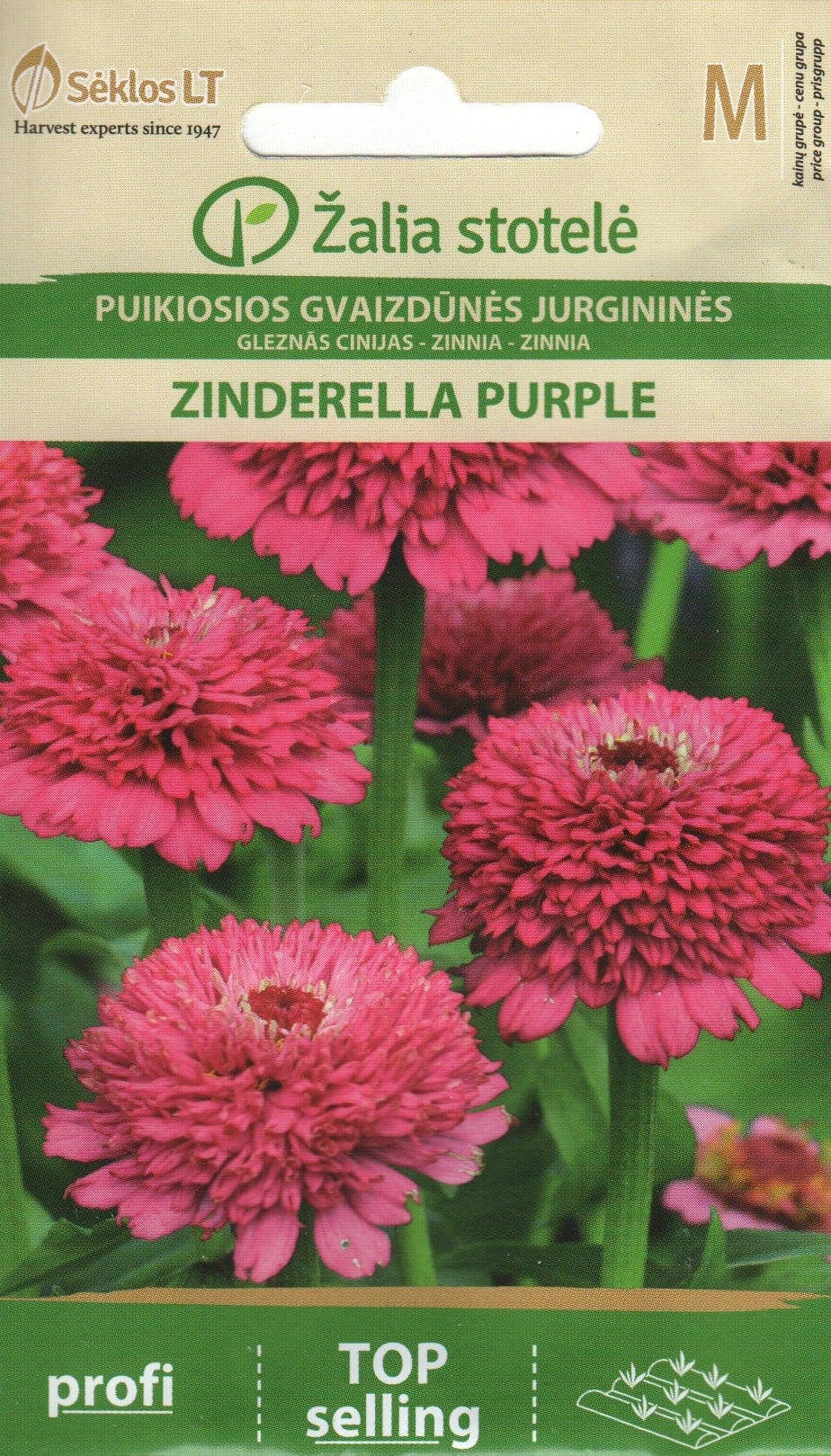 Harilik pruudisõlg "Zinderella Purple"
