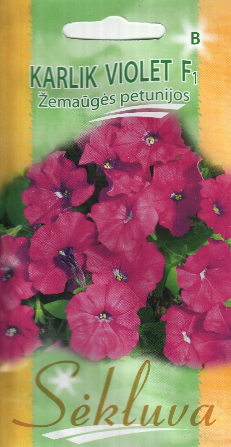Petuunia "Karlik Violet" F1