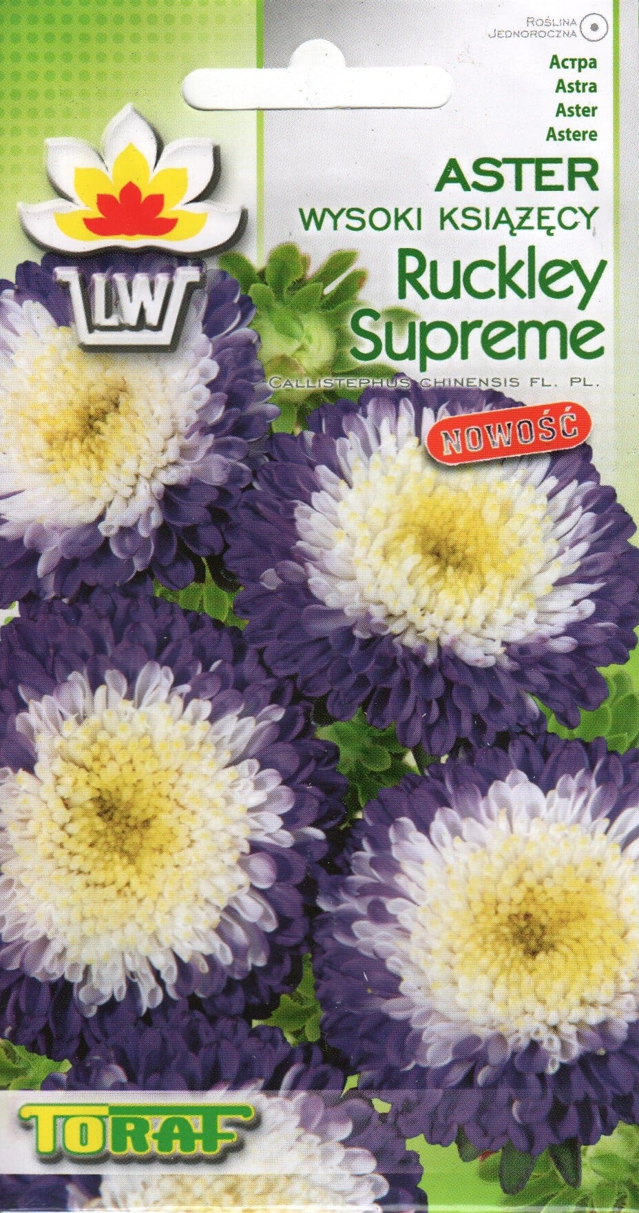 Aster "Ruckley Supreme"