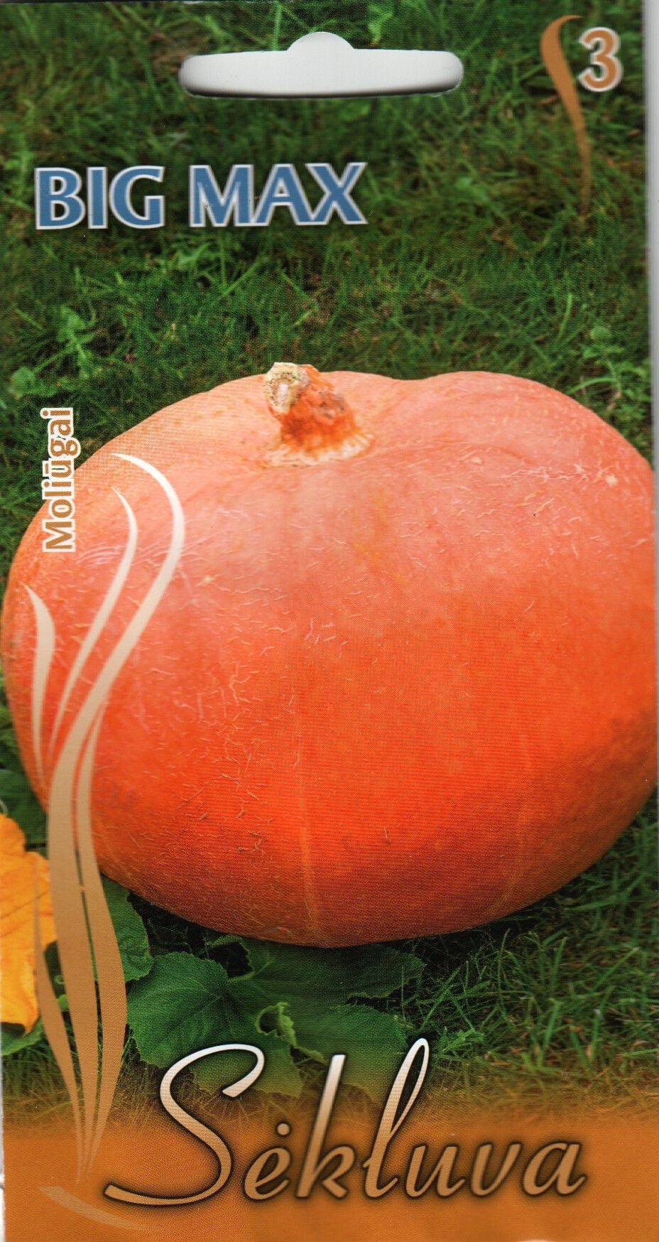 Kõrvits "Big Max"