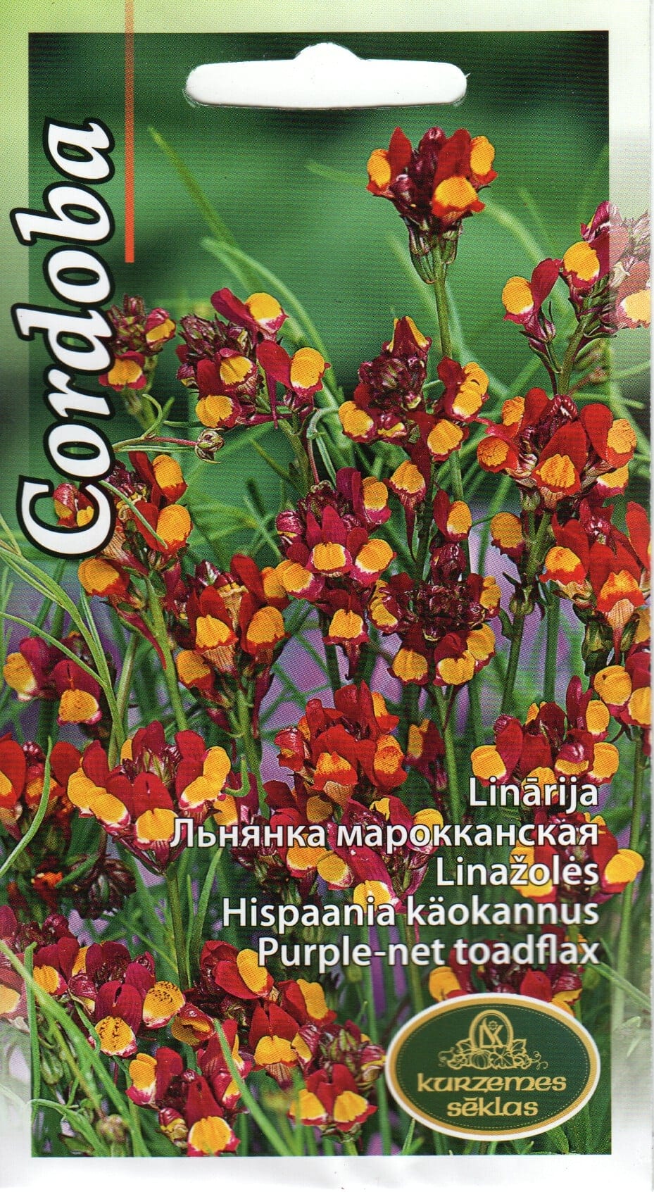 Hispaania käokannus "Cordoba"