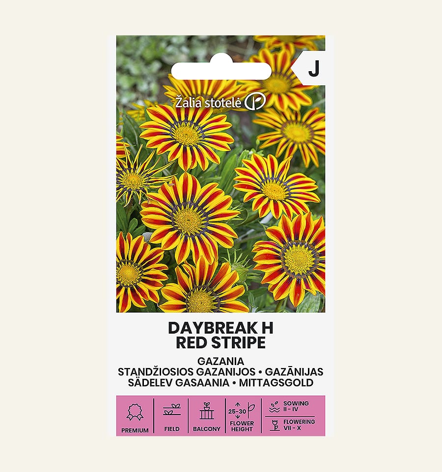 Särav gasaania "Daybreak Red Stripe" F1