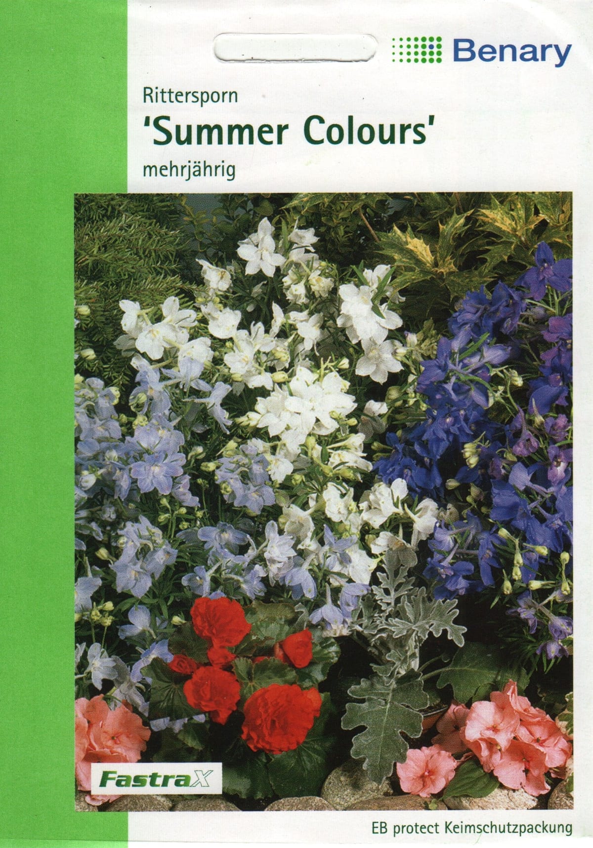 Suureõiene kukekannus kääbus "Summer Colours"