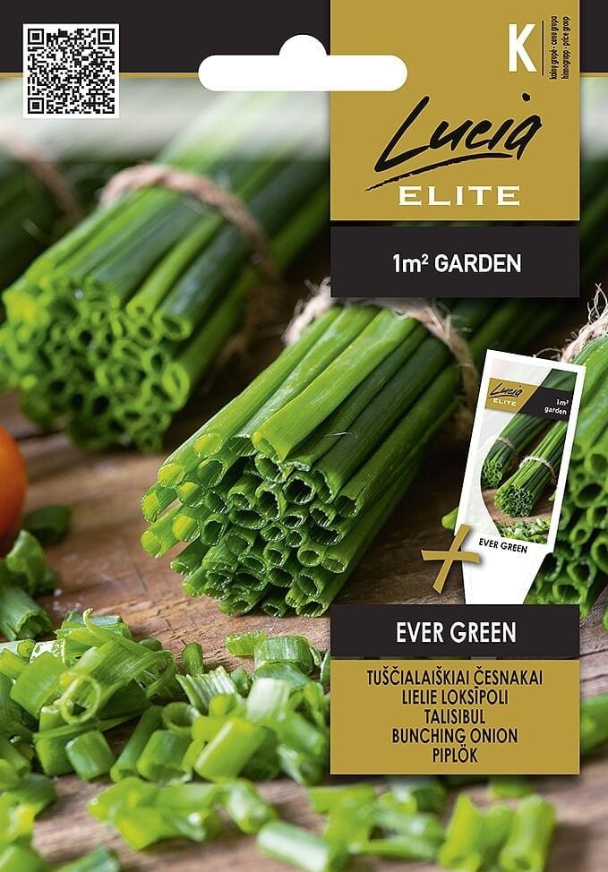 Talisibul "Ever Green"