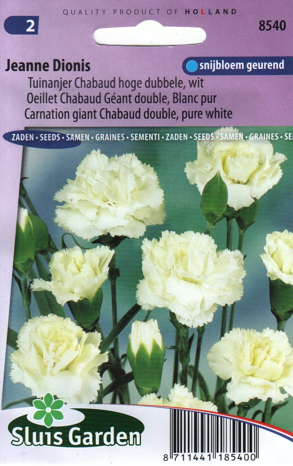 Šaboonelk "Chabaud Jeanne Dionis"
